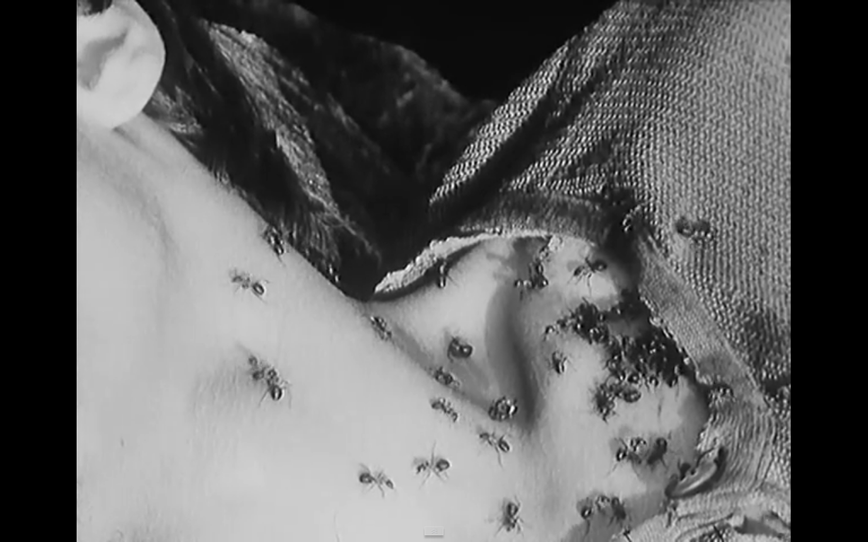 Diamonds of the Night (1964)