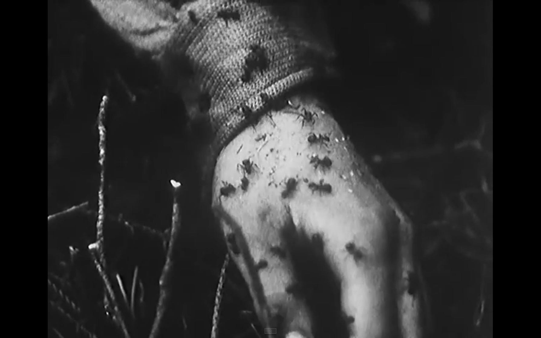 Diamonds of the Night (1964)
