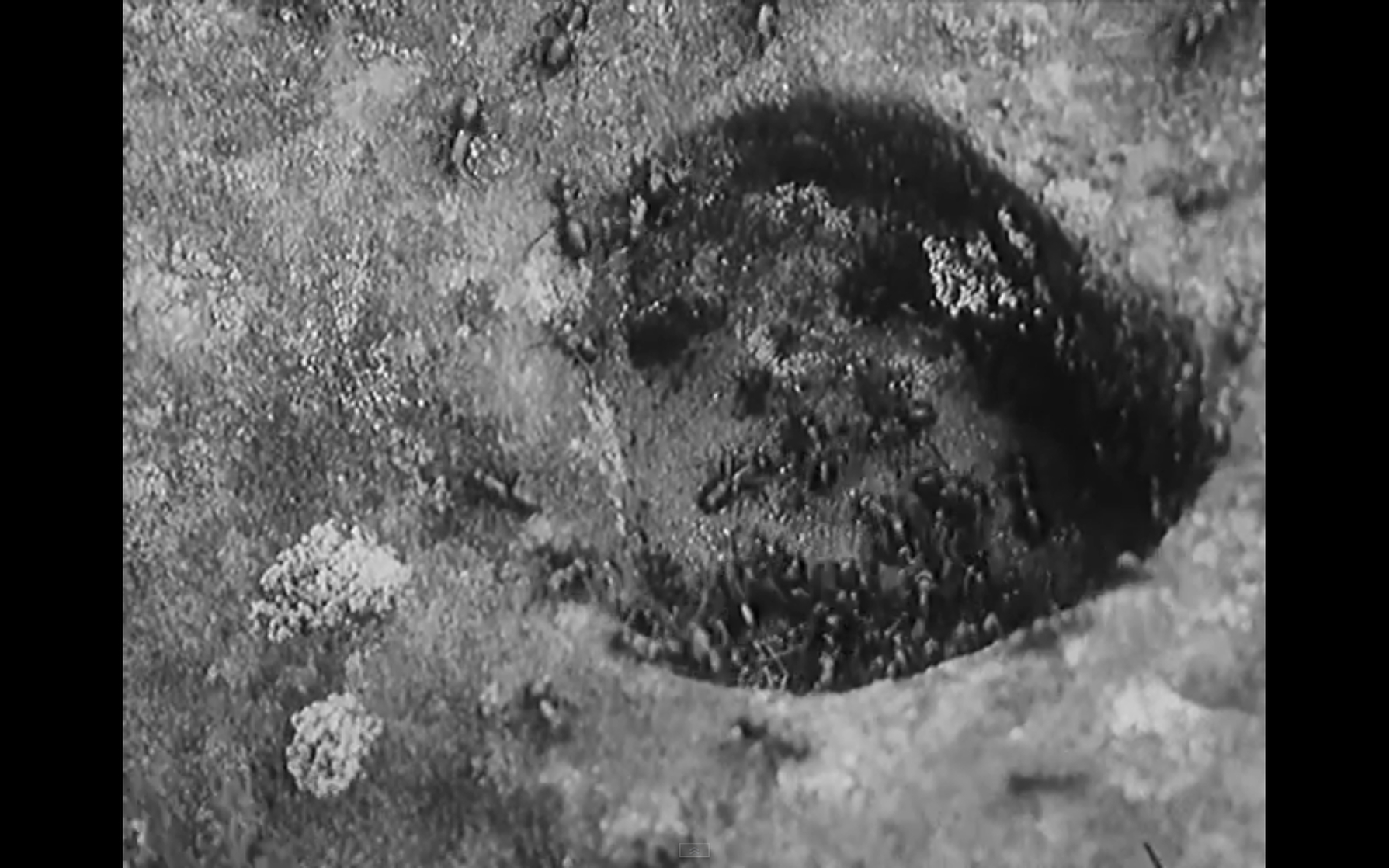 Diamonds of the Night (1964)