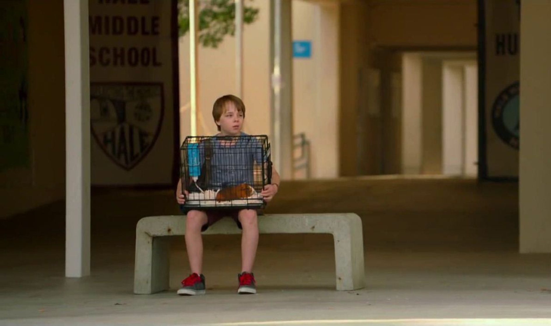 Alexander and the Terrible, Horrible, No Good, Very Bad Day