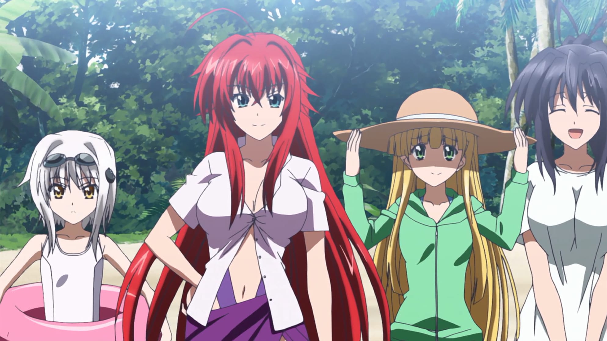 Picture of High School DxD