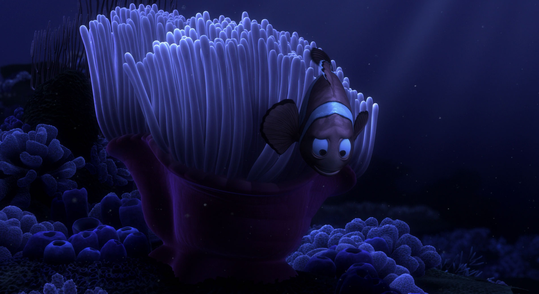Finding Nemo
