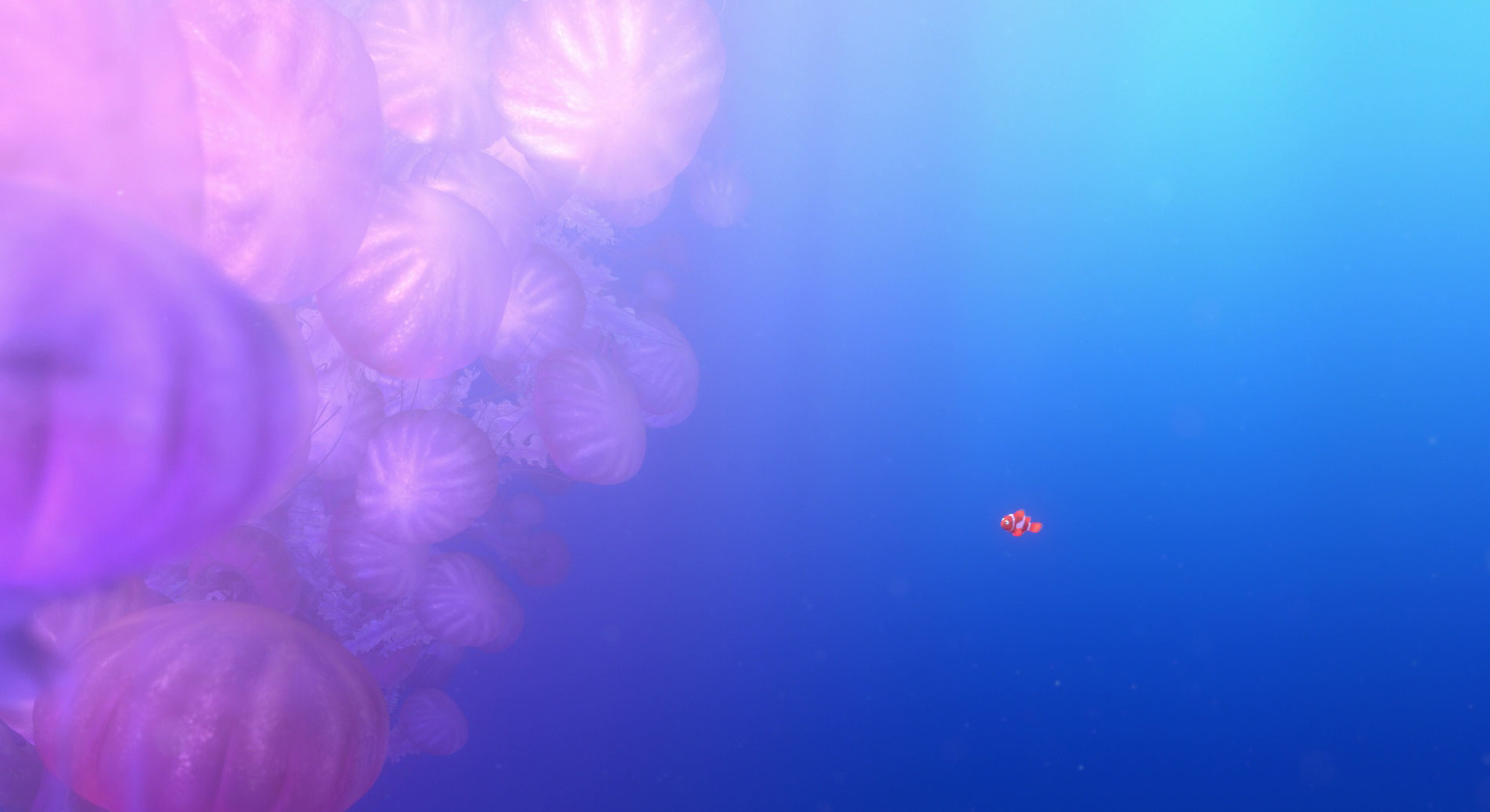 Finding Nemo Finding Nemo