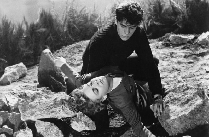 Le bois des amants