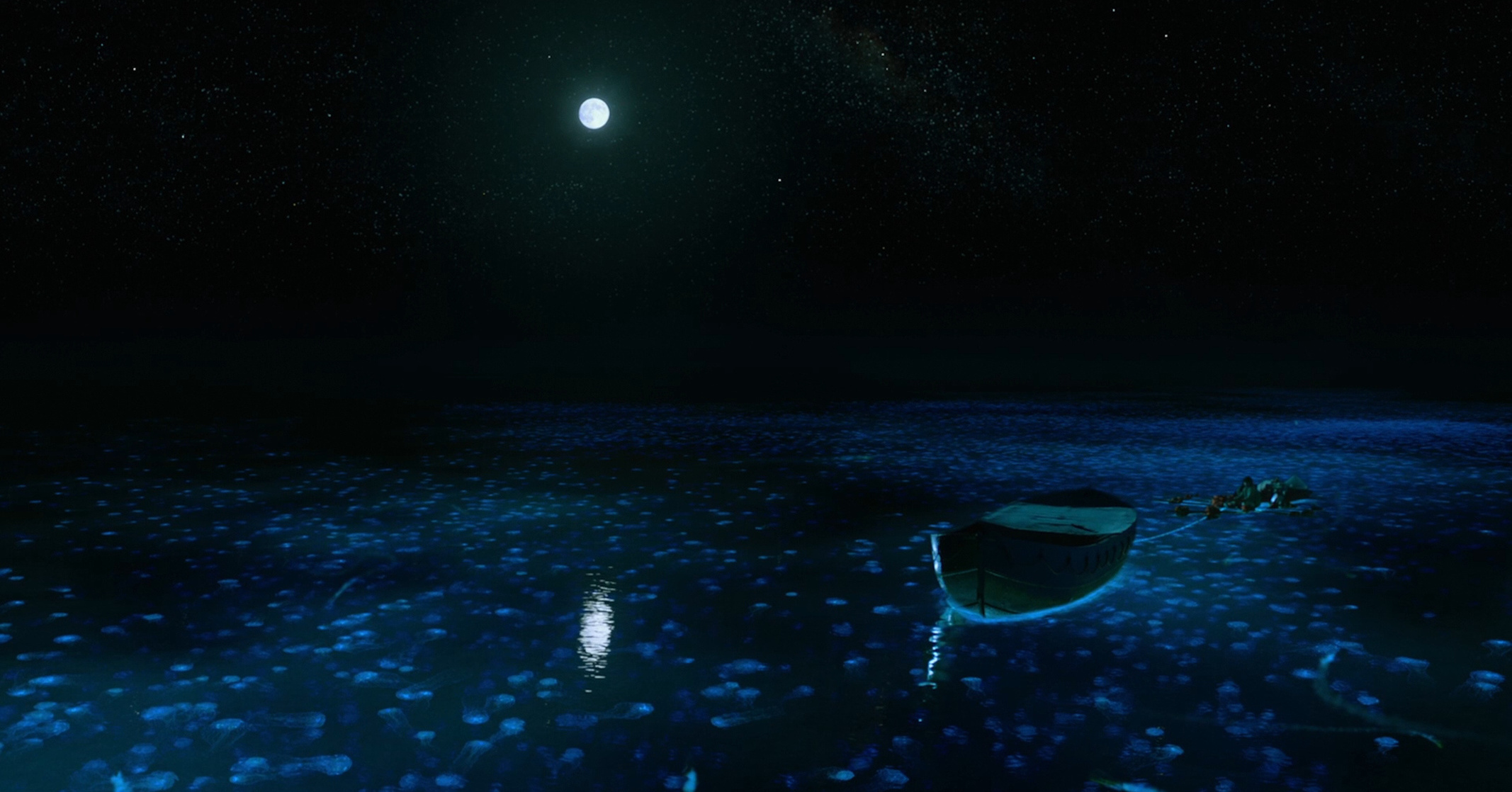 Life of Pi