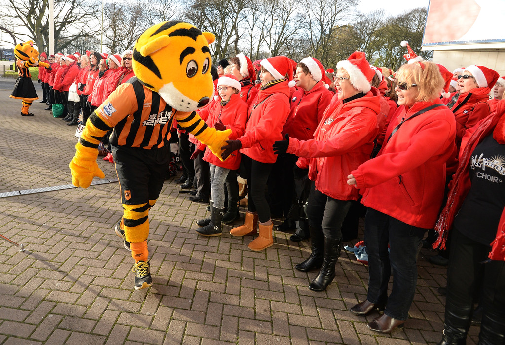 Roary the Tiger Roary the Tiger