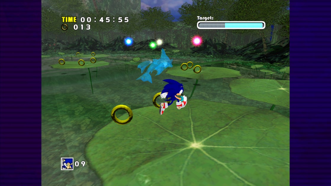 Sonic Adventure DX: Director's Cut