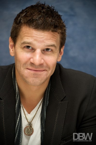 Picture of David Boreanaz