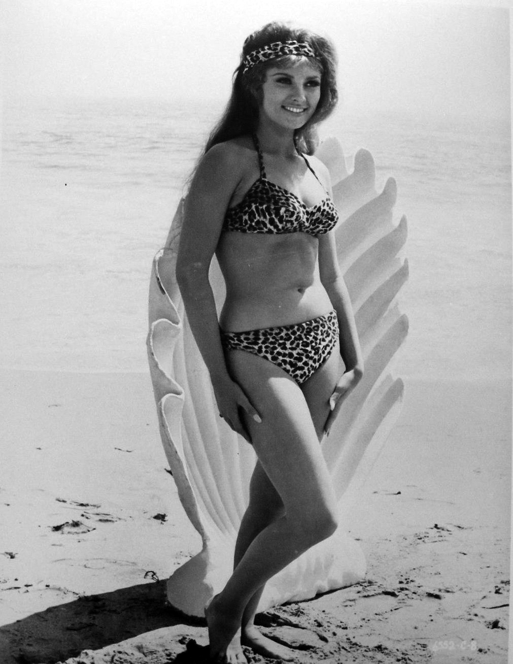 Beverly Adams Beverly Adams new foto Beverly Adams Beverly Adams new picture