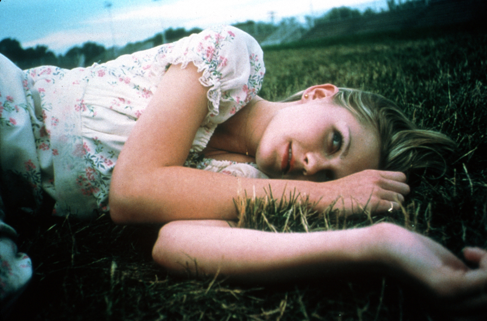 The Virgin Suicides