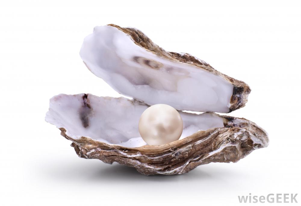 Pearl Pearl