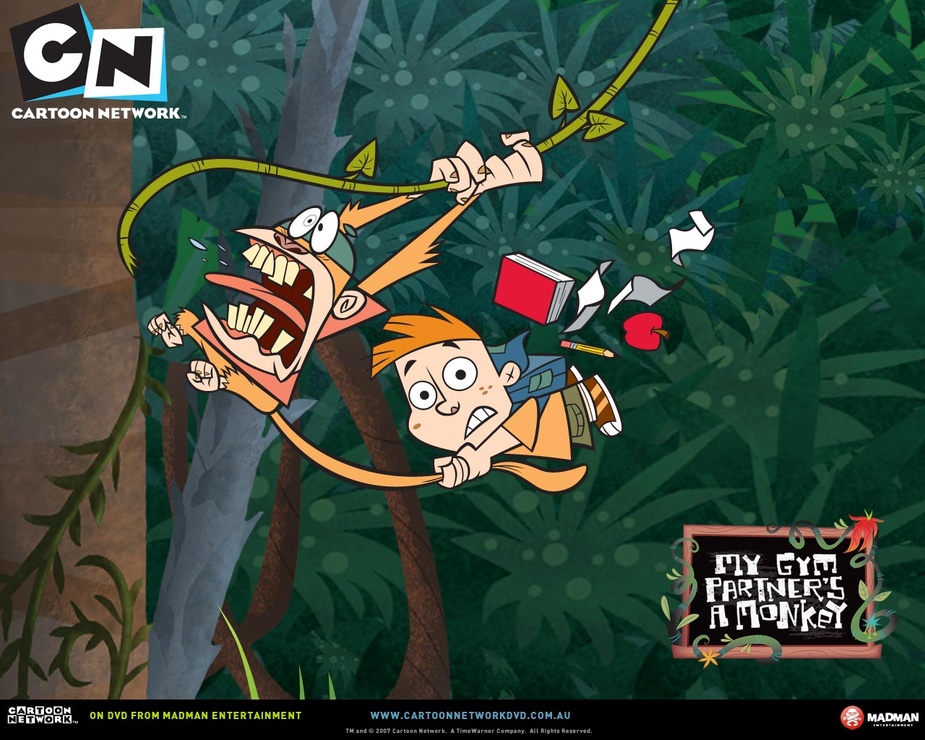 Picture of My Gym Partner's a Monkey