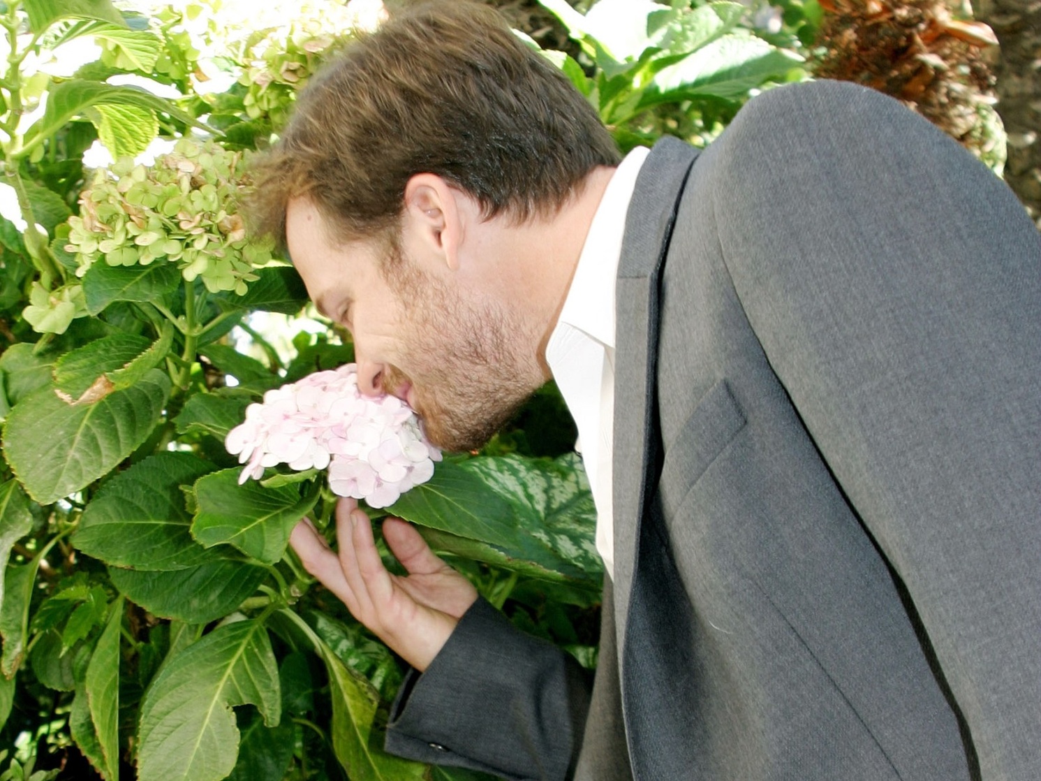 Peter Sarsgaard