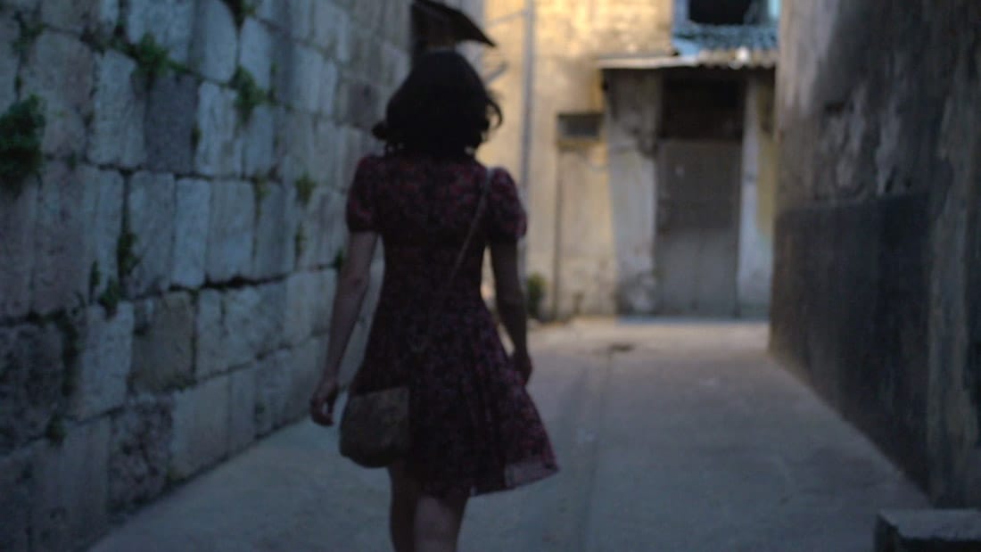 A Gay Girl in Damascus: The Amina Profile                                  (2015)