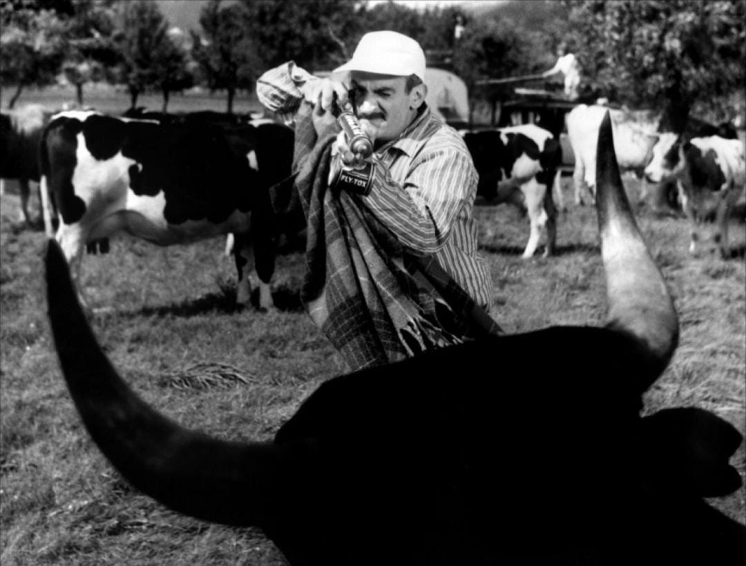 Taxi, Trailer and Corrida
