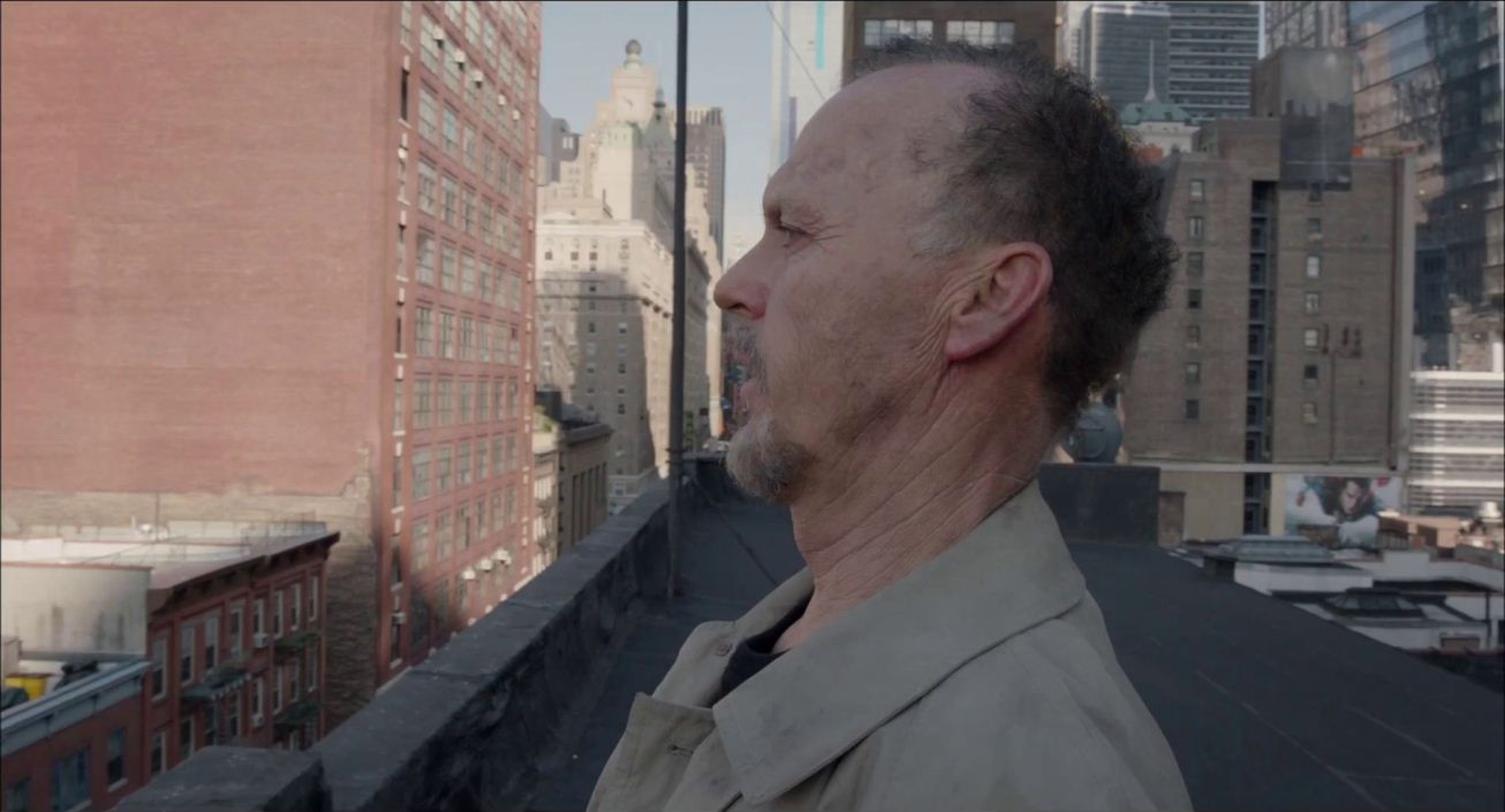 Birdman or (The Unexpected Virtue of Ignorance)