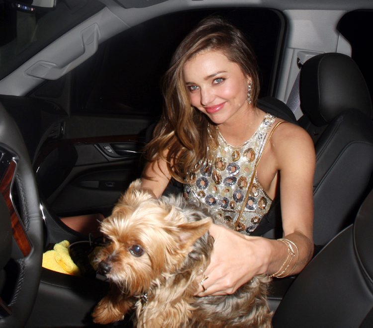 Miranda Kerr