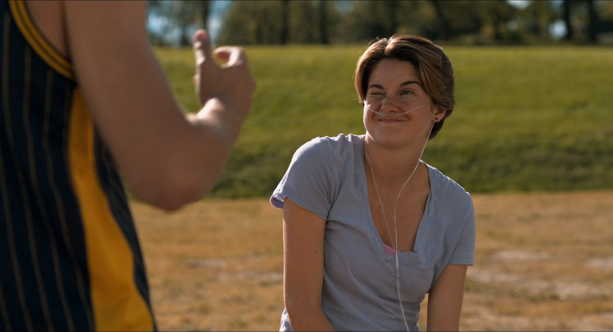 The Fault in Our Stars image