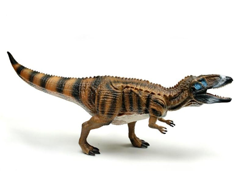 Carcharodontosaurus Deluxe by CollectA