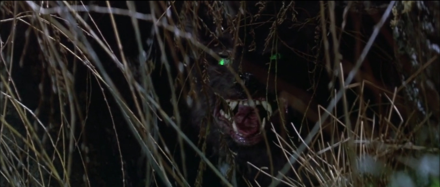 The NeverEnding Story