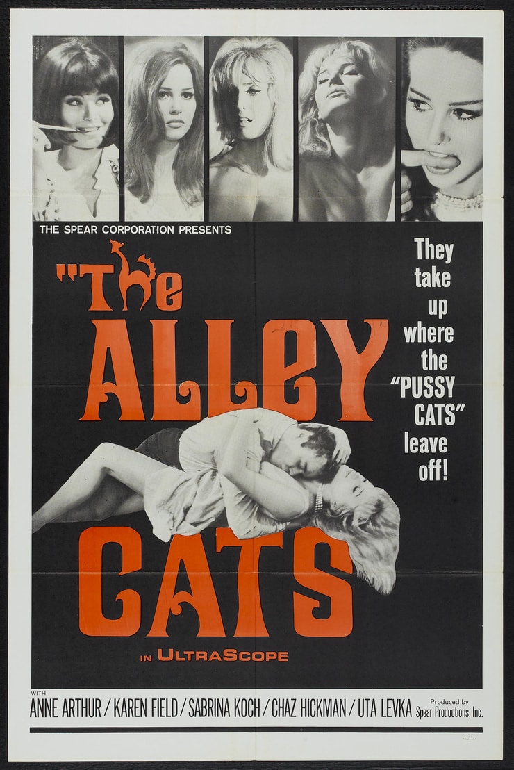 alley cats rescue society