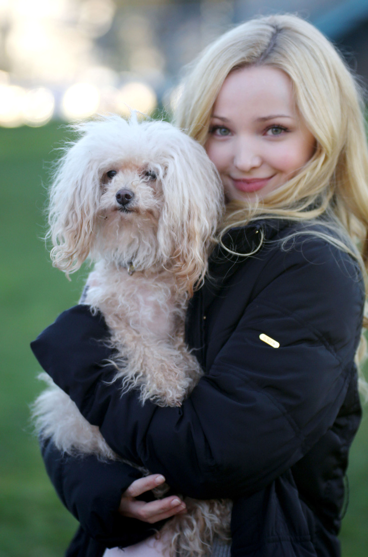 Picture of Dove Cameron