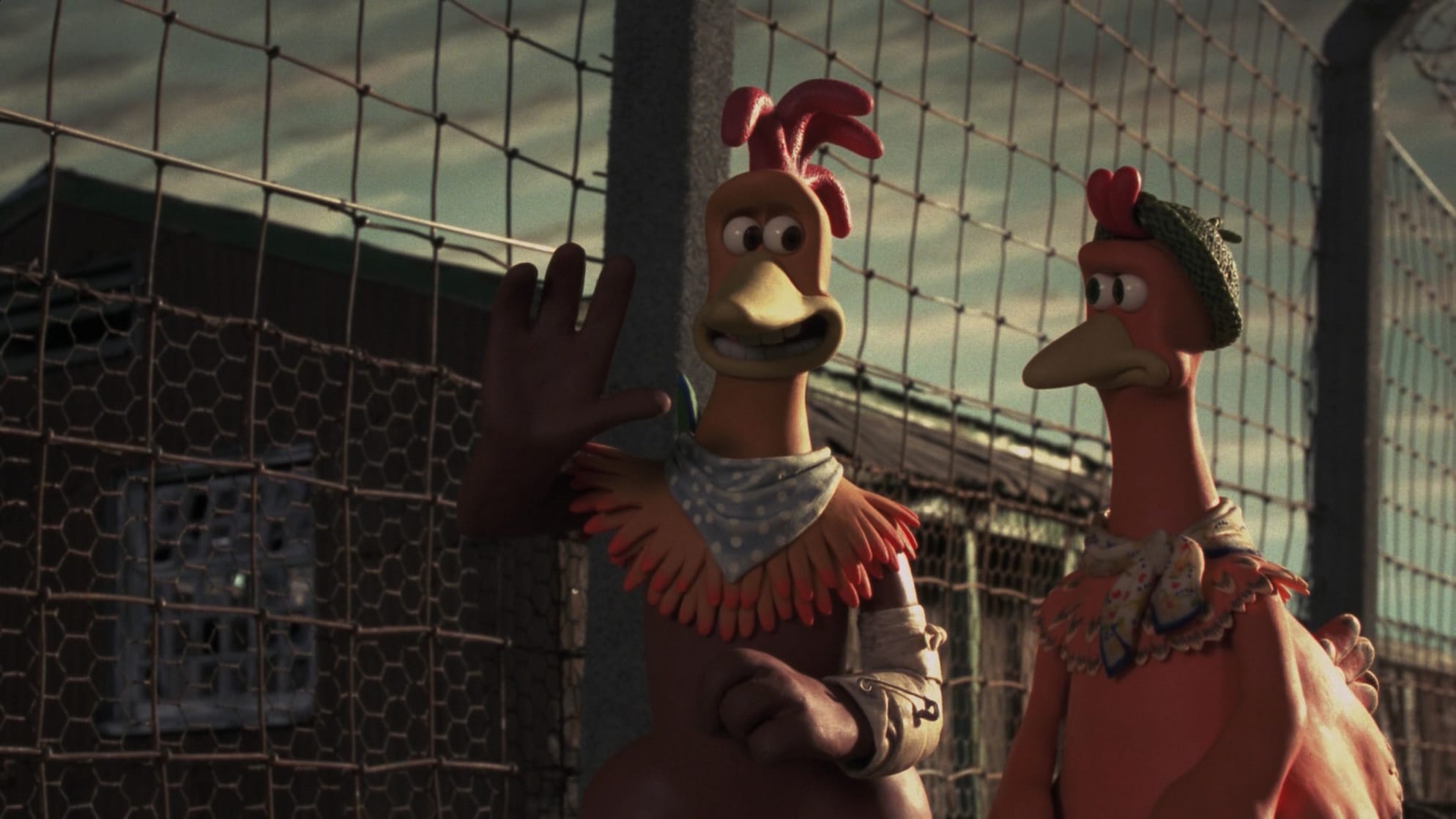 Image of Chicken Run