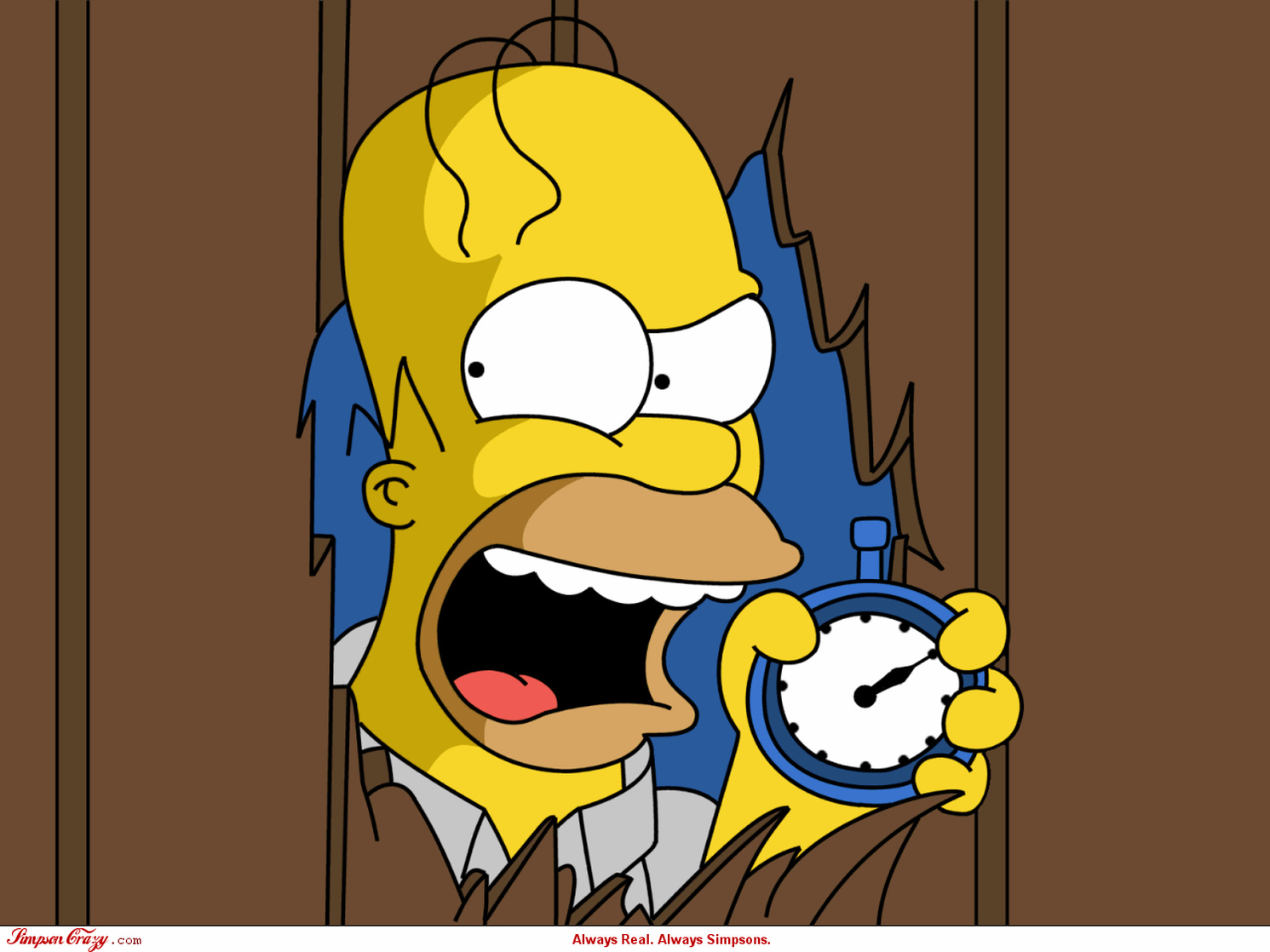 The Simpsons The Simpsons