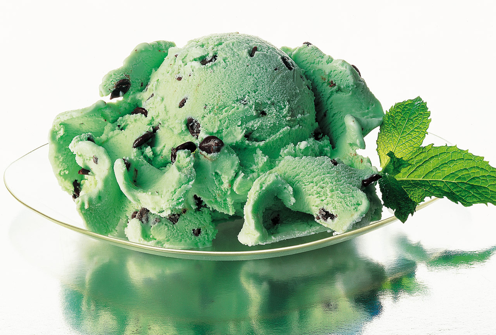 Mint Chocolate Chip Ice Cream Mint Chocolate Chip Ice Cream