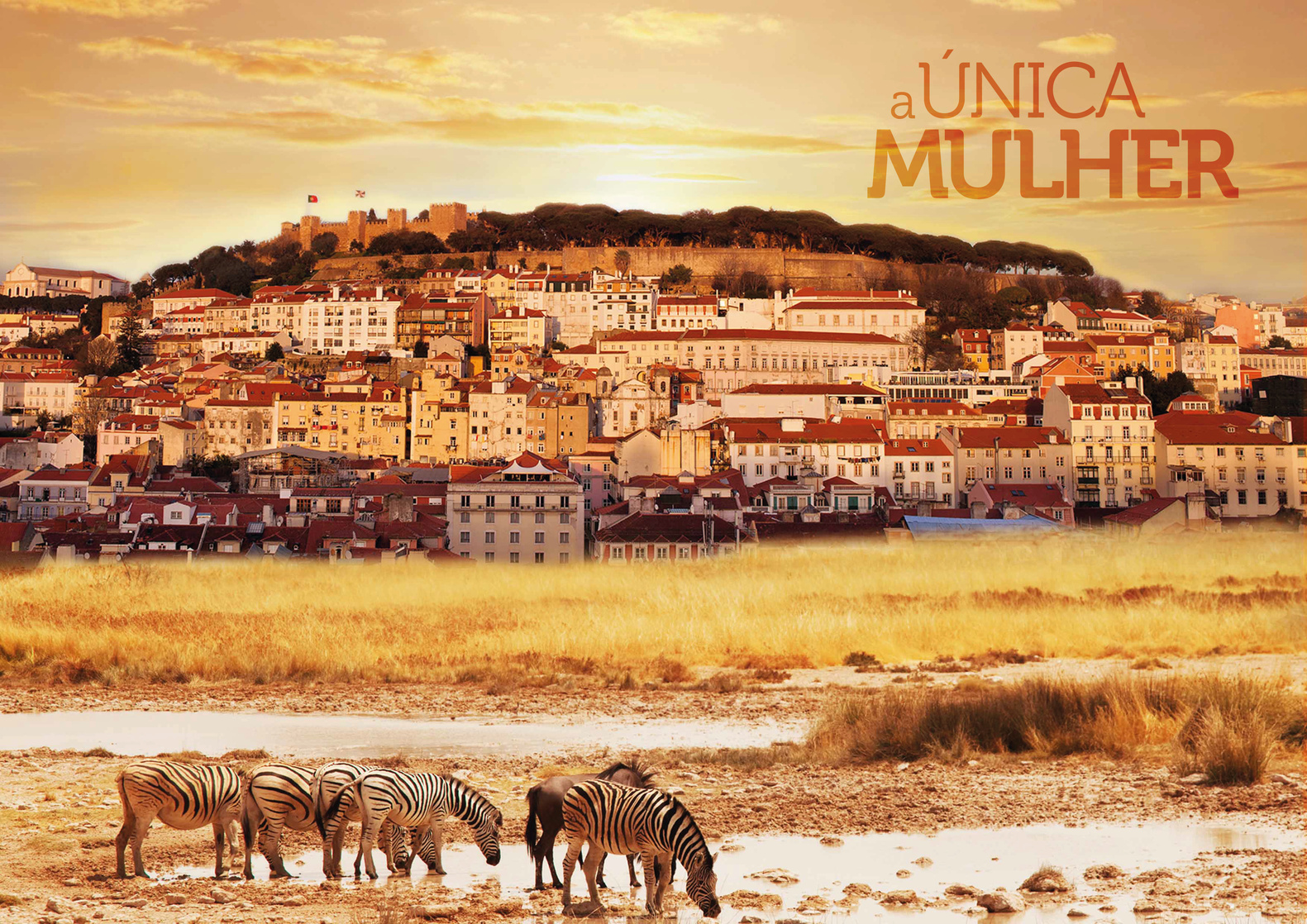 A Única Mulher A Única Mulher