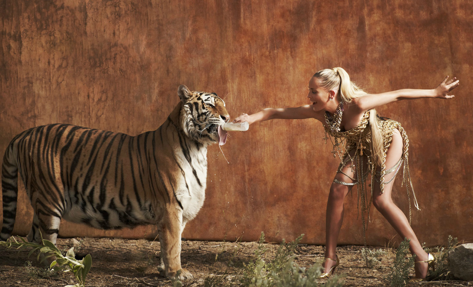 Sharon Stone Sharon Stone