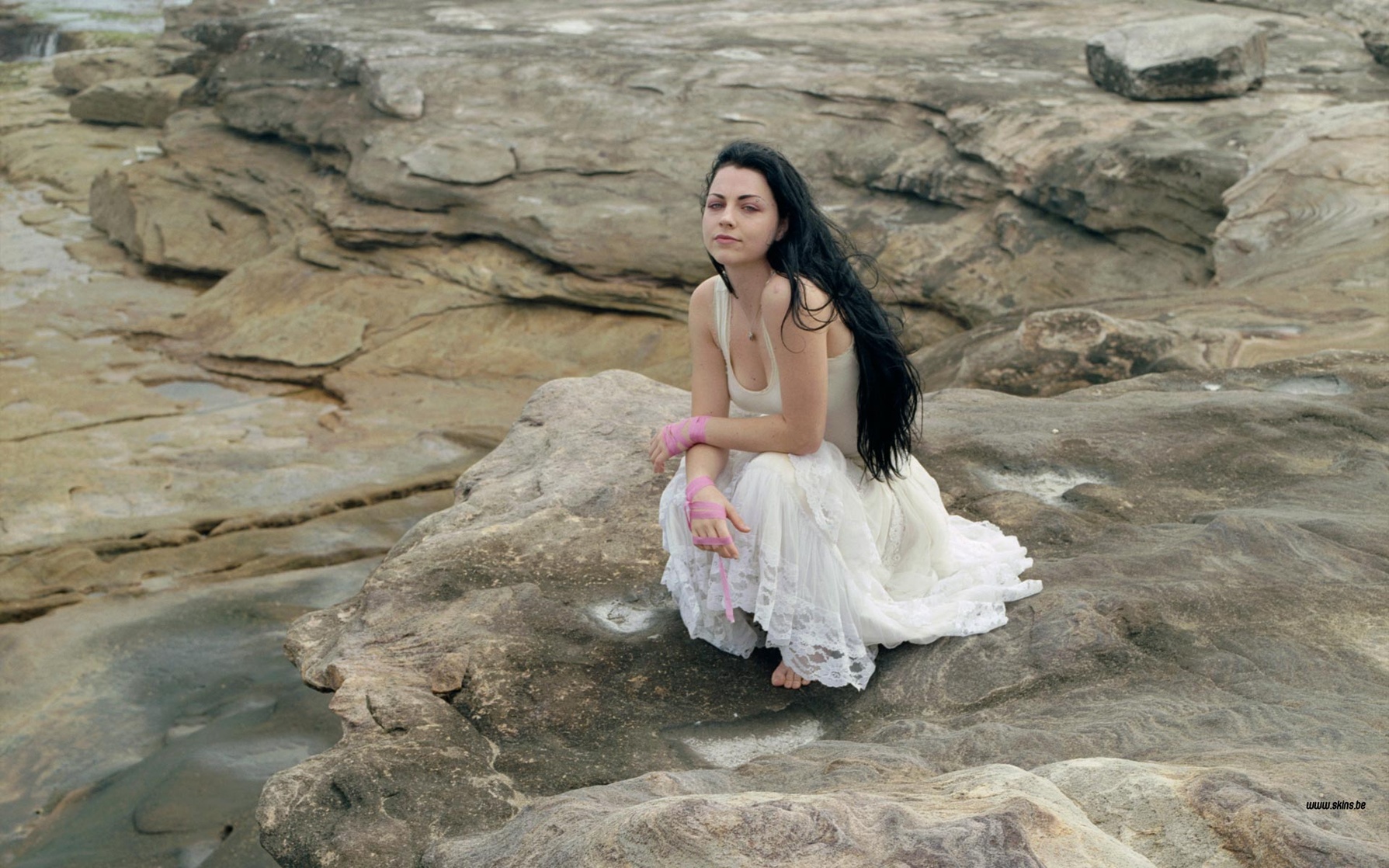 Amy Lee Amy Lee