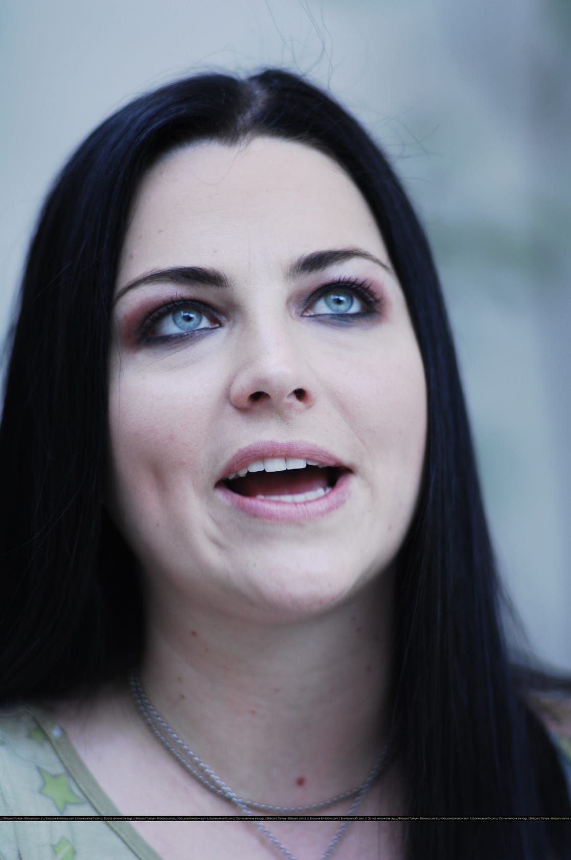 Picture of Amy Lee