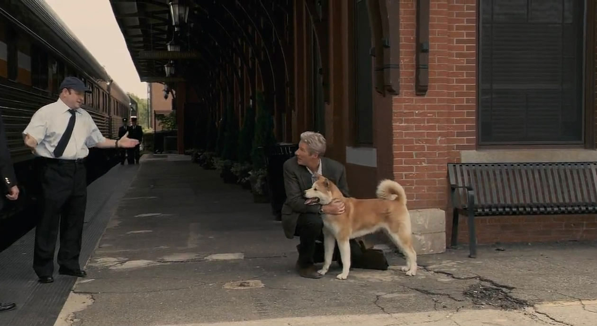 Picture of Hachi A Dog