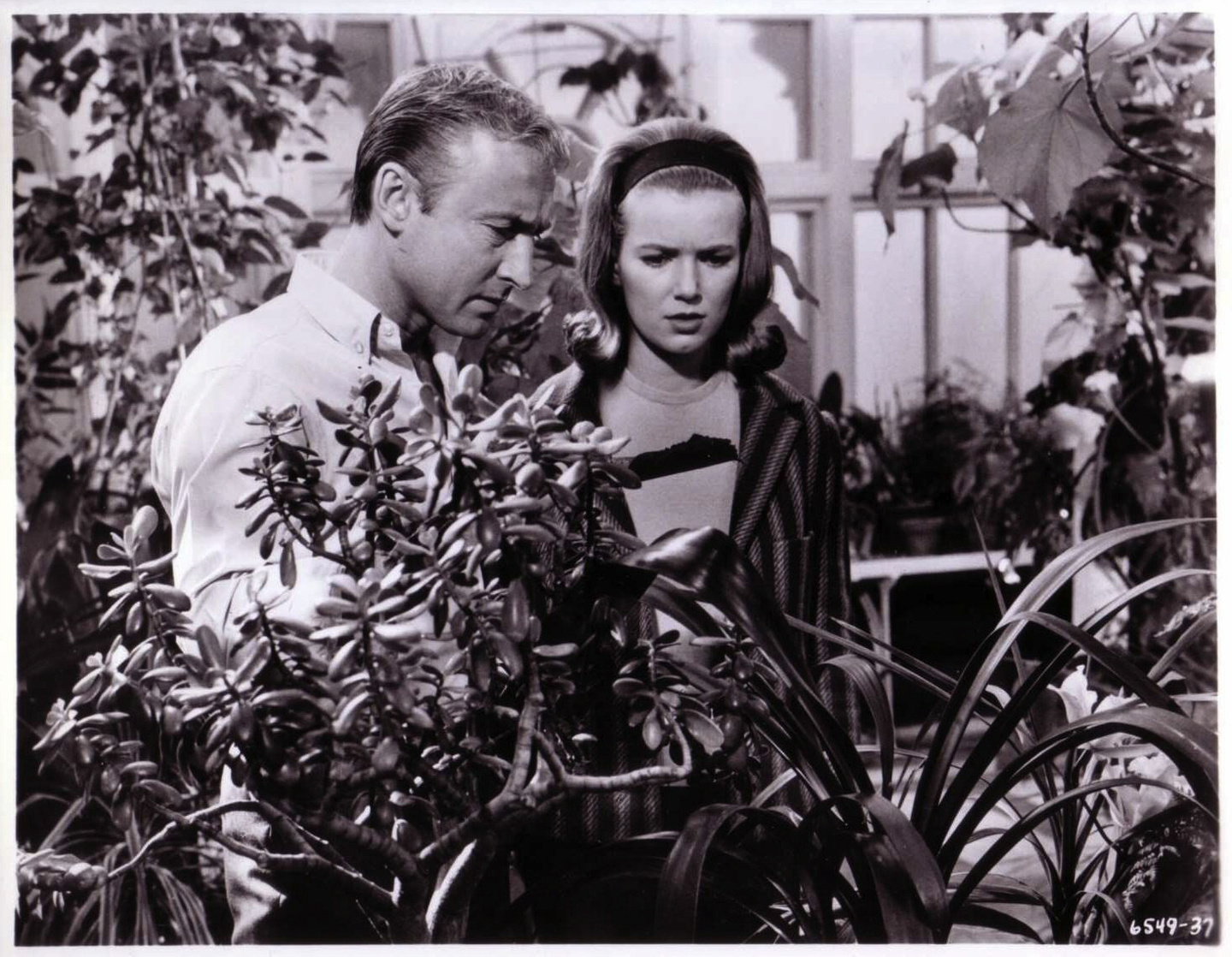 Nick Adams, Suzan Farmer