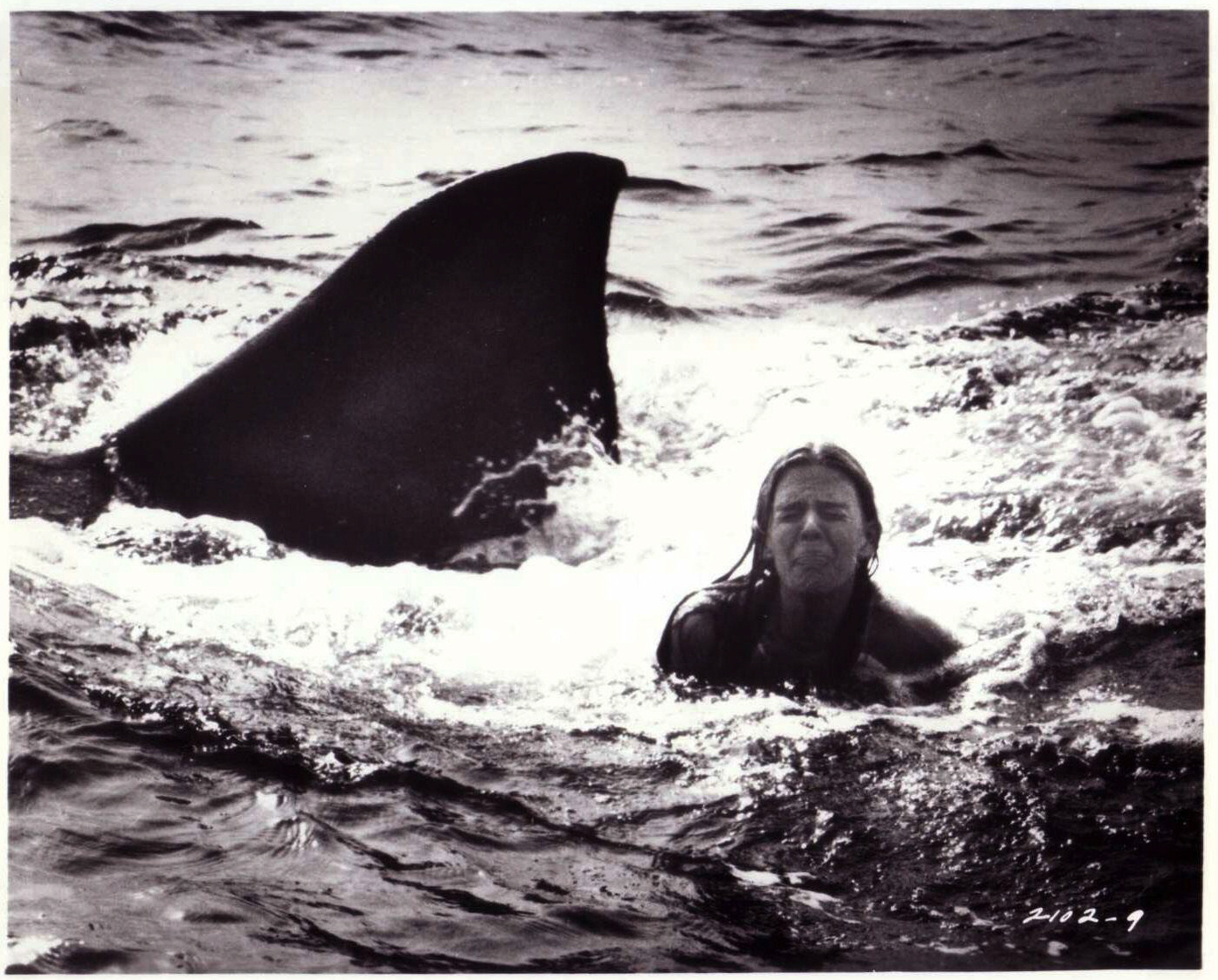 Jaws 2