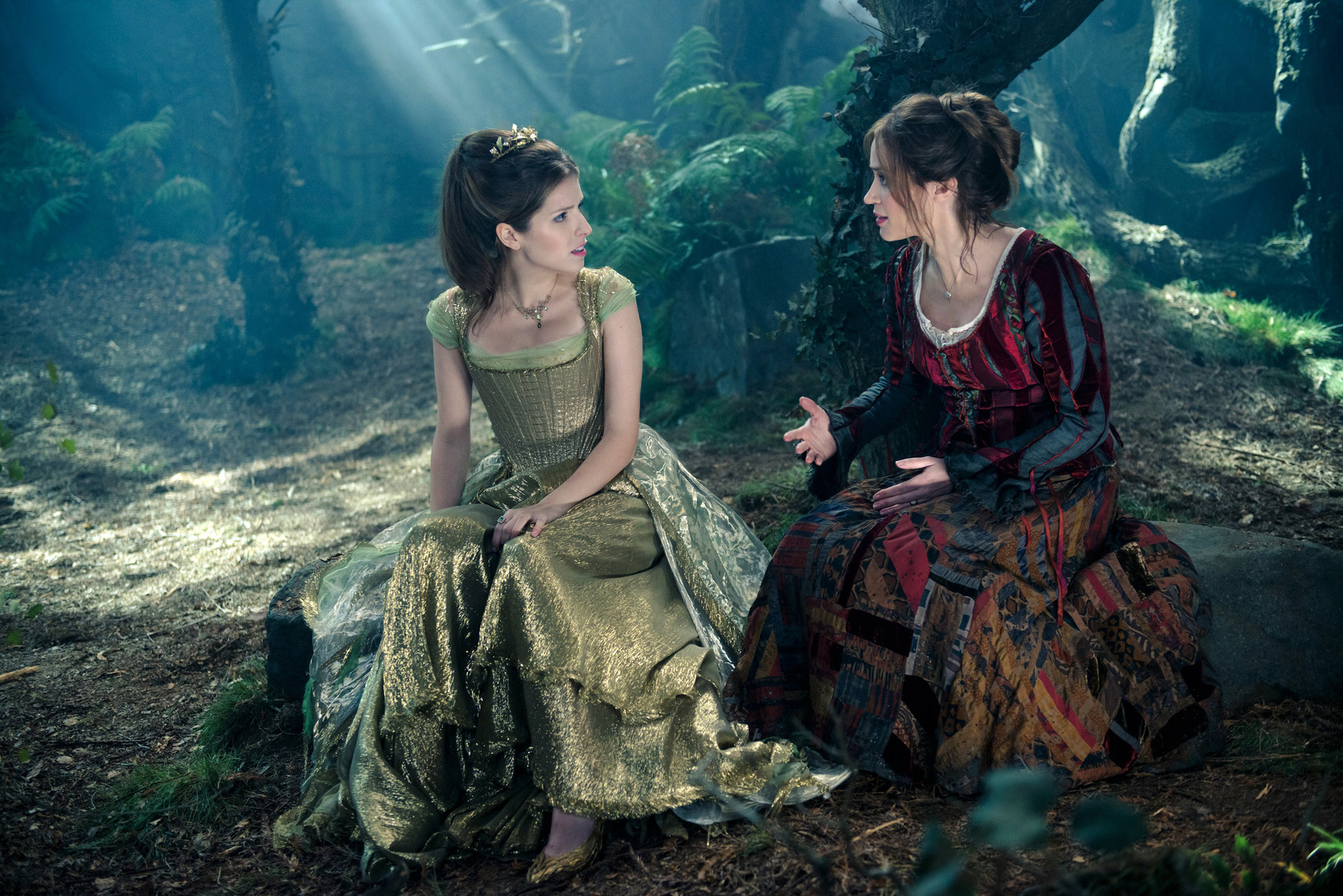 Into the Woods Into the Woods