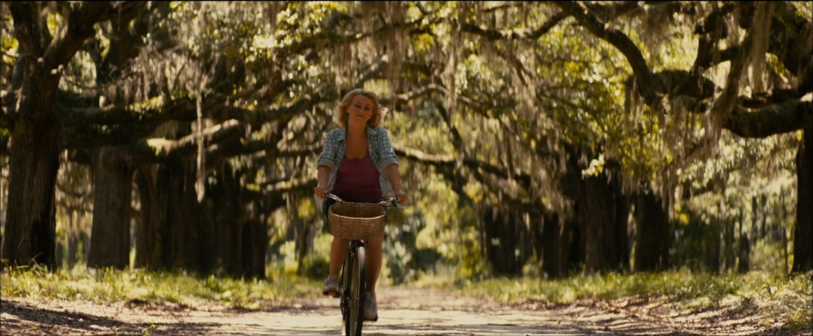 Safe Haven