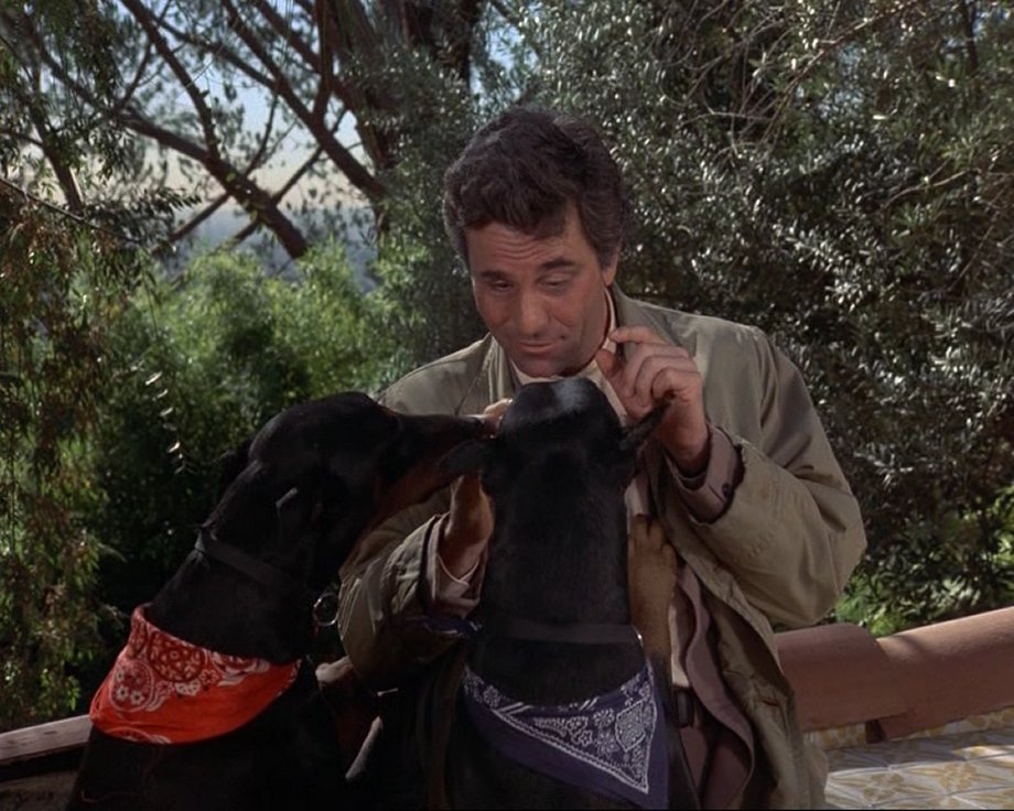 Picture of Columbo: How to Dial a Murder