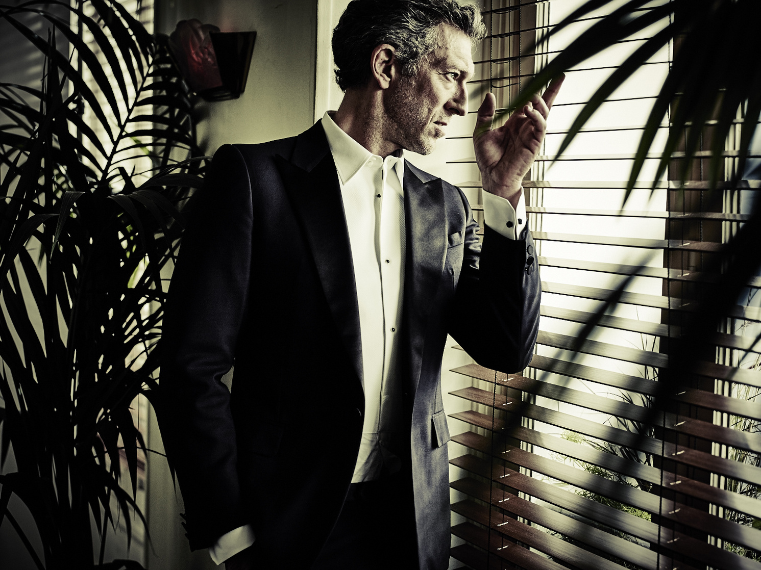 Vincent Cassel