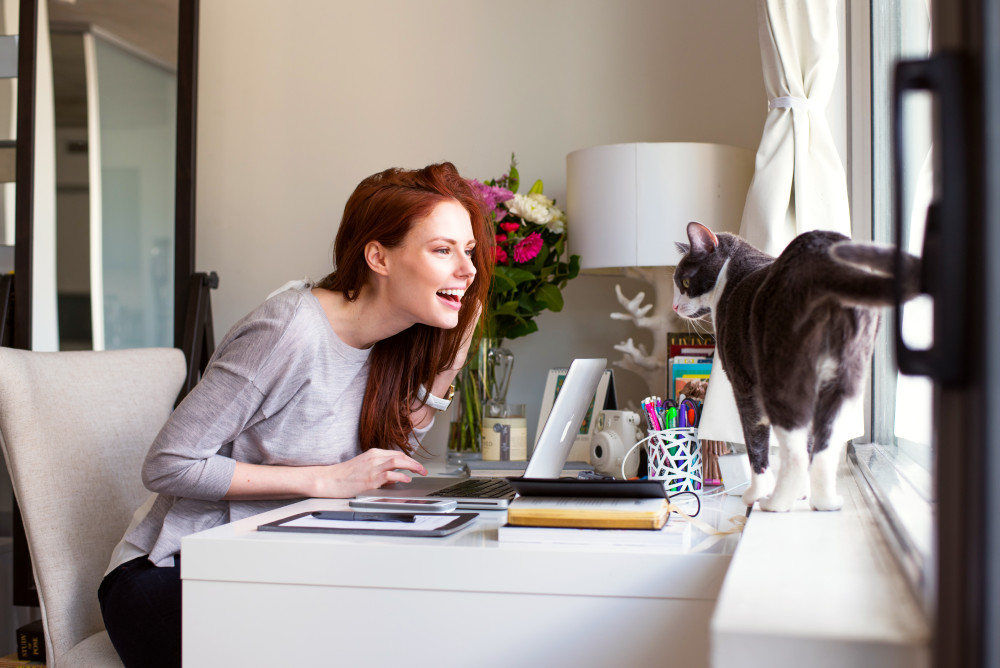 Alyssa Campanella Alyssa Campanella