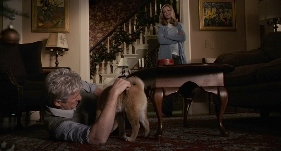 Hachi: A Dog's Tale Hachi: A Dog's Tale