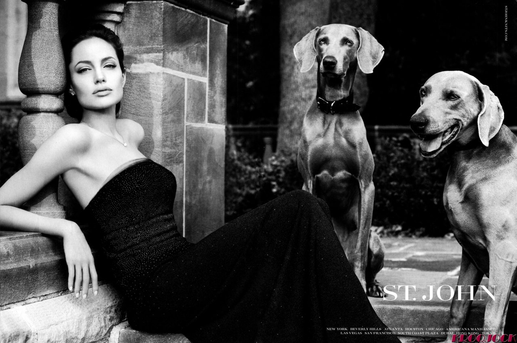 Angelina Jolie Angelina Jolie