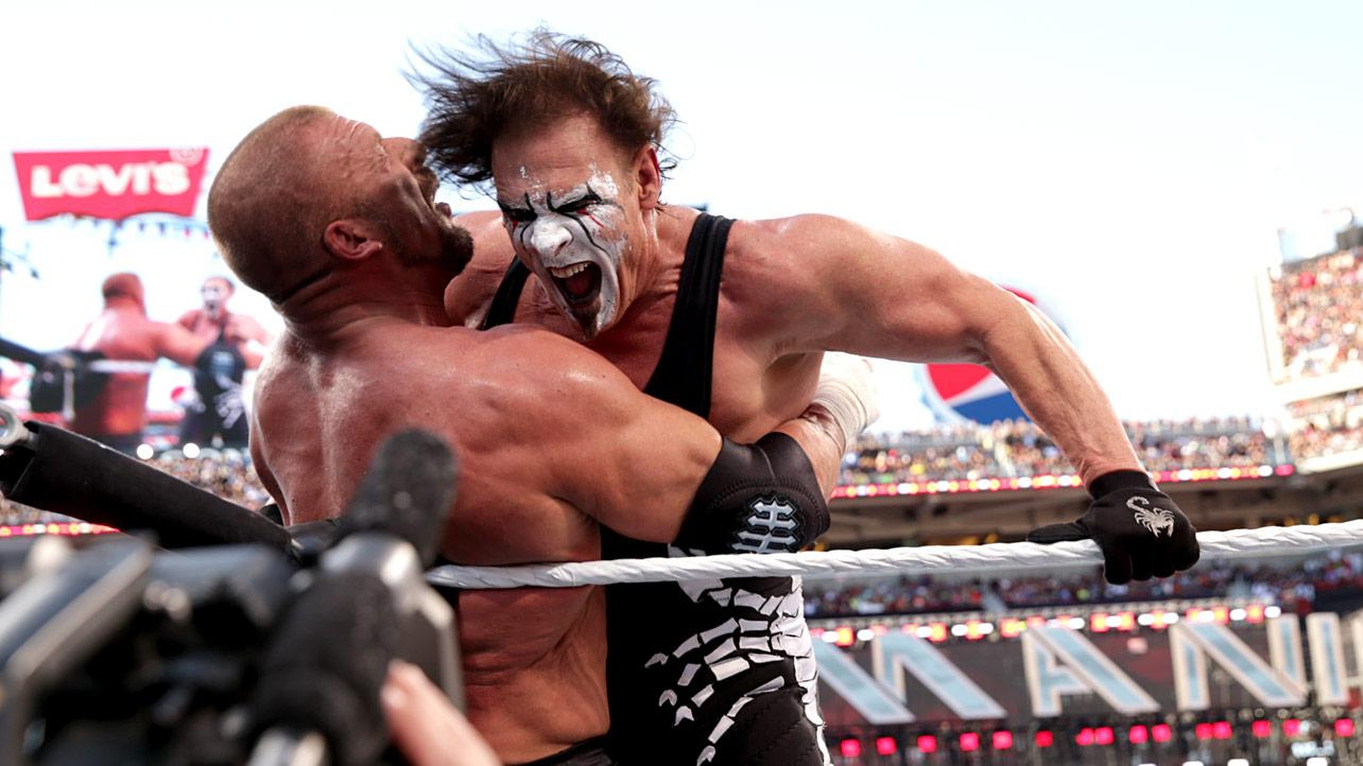 Triple H Vs Sting Wwe Wrestlemania 31 Picture