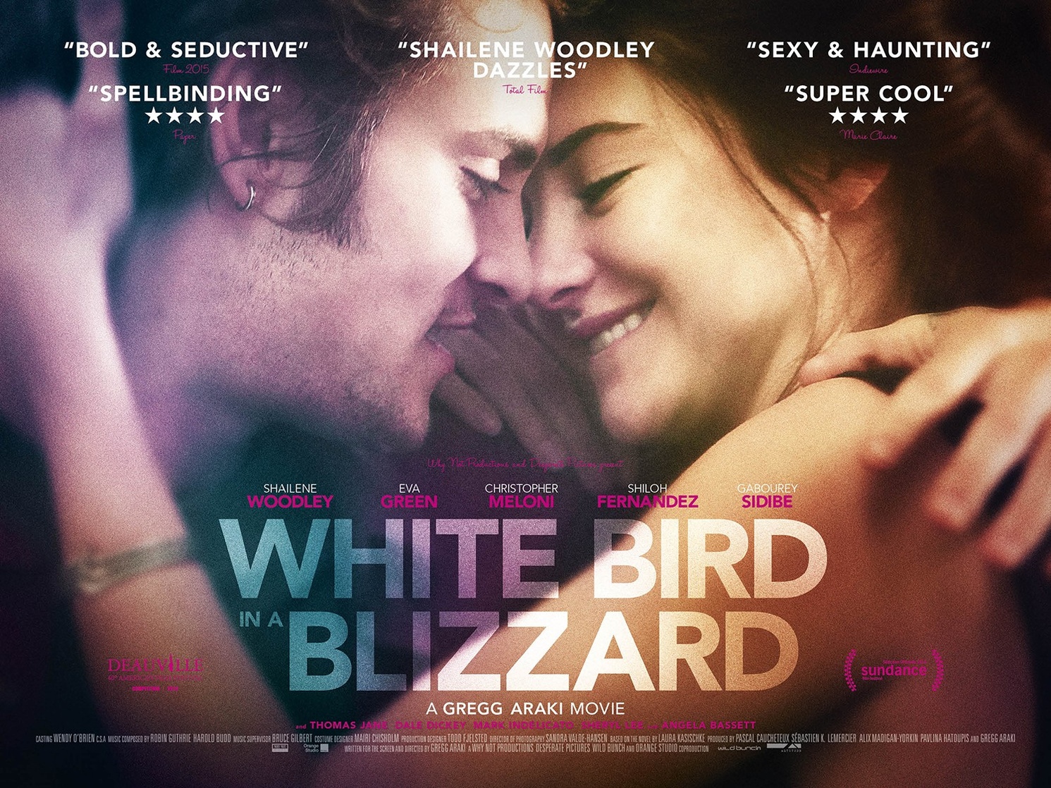 White Bird in a Blizzard