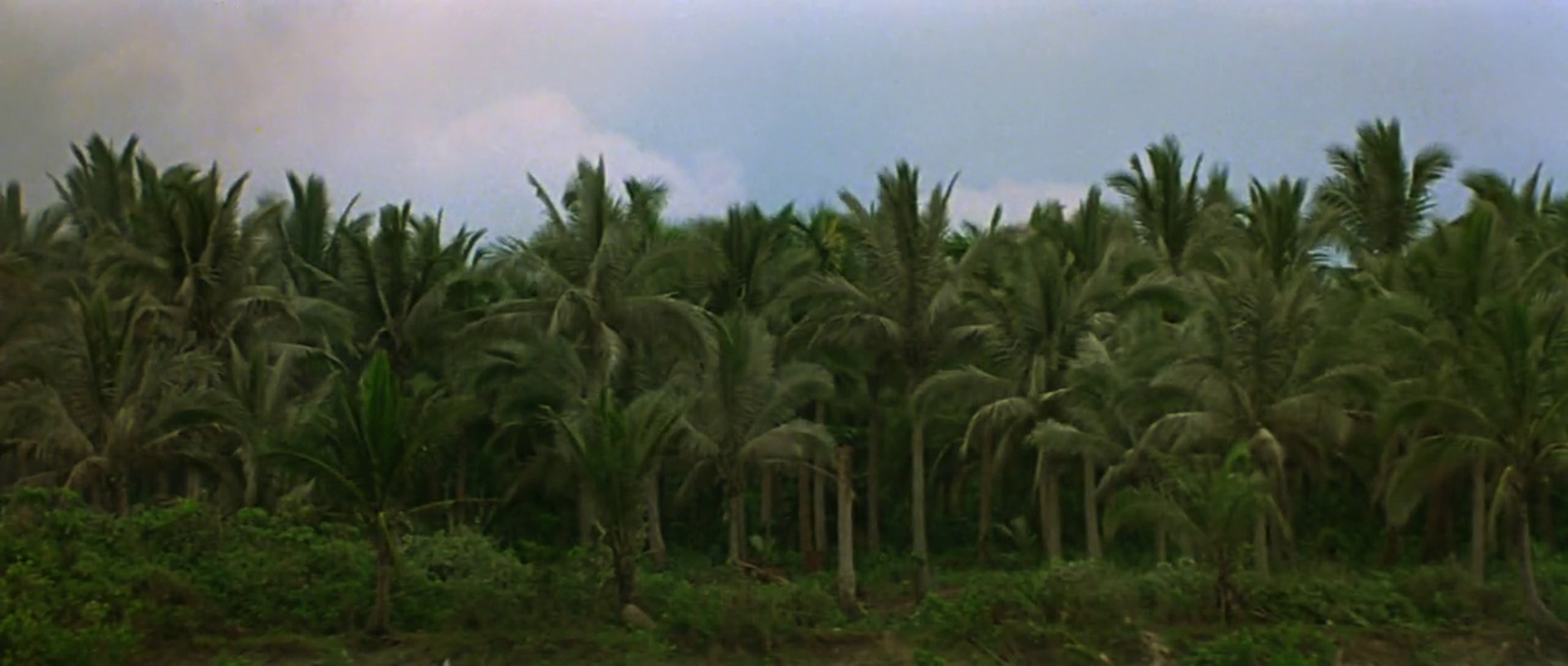 Apocalypse Now