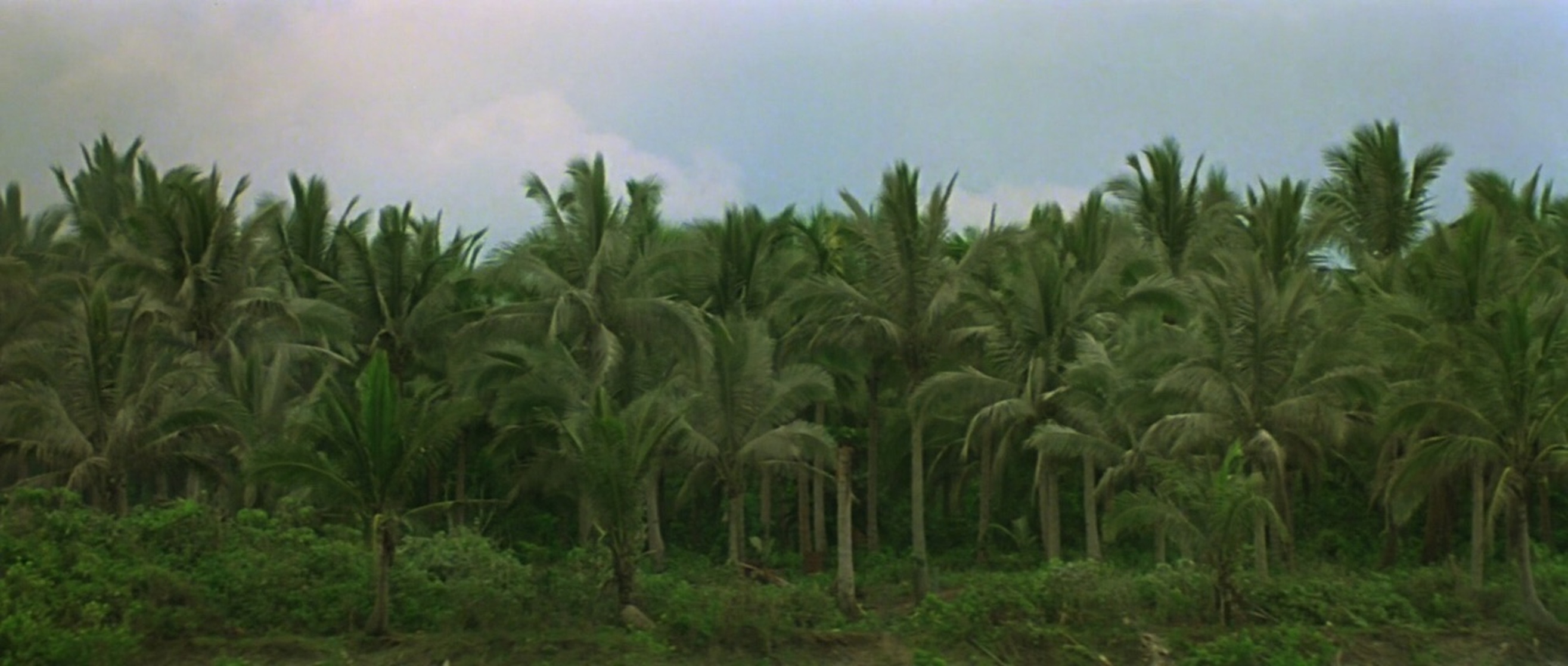 Apocalypse Now