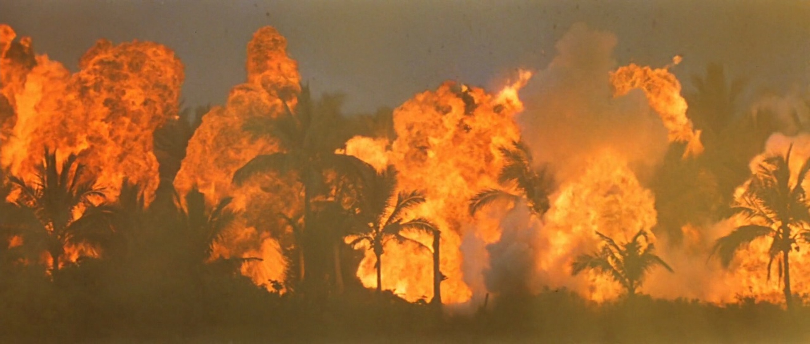 Apocalypse Now