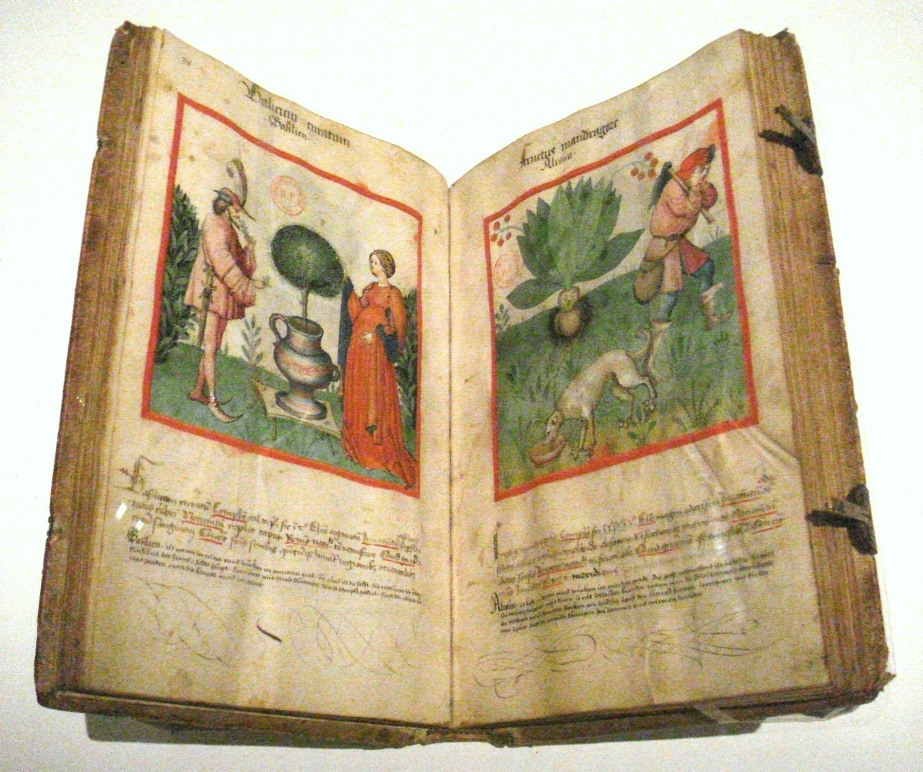Tacuinum Sanitatis