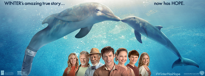 Dolphin Tale 2